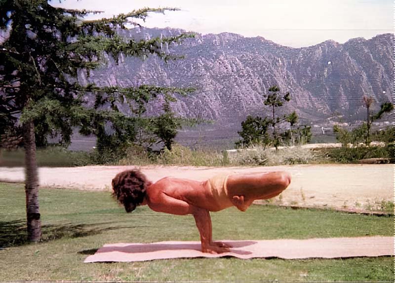 Padma Mayurasana (le paon)