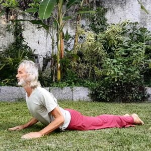 Cobra pose